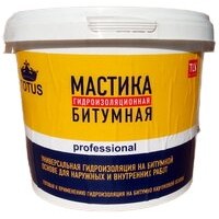 Totus Professional Мастика бітумна Гідроізоляційна (0,9 кг)