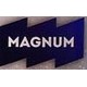 Magnum Пластификатор заменитель извести (1 л)